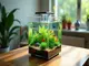 aquarium-cube-die-vorteile-eines-kompakten-aquariums