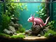aquarium-fuer-axolotl-so-gestaltest-du-das-ideale-zuhause
