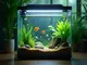 aquarium-heizung-welche-ist-die-richtige-fuer-dein-becken