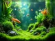 aquarium-moos-vorteile-und-pflege-fuer-ein-gesundes-oekosystem