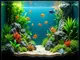 einrichtungstipps-fuer-das-aquarium-quadratisch-100x100